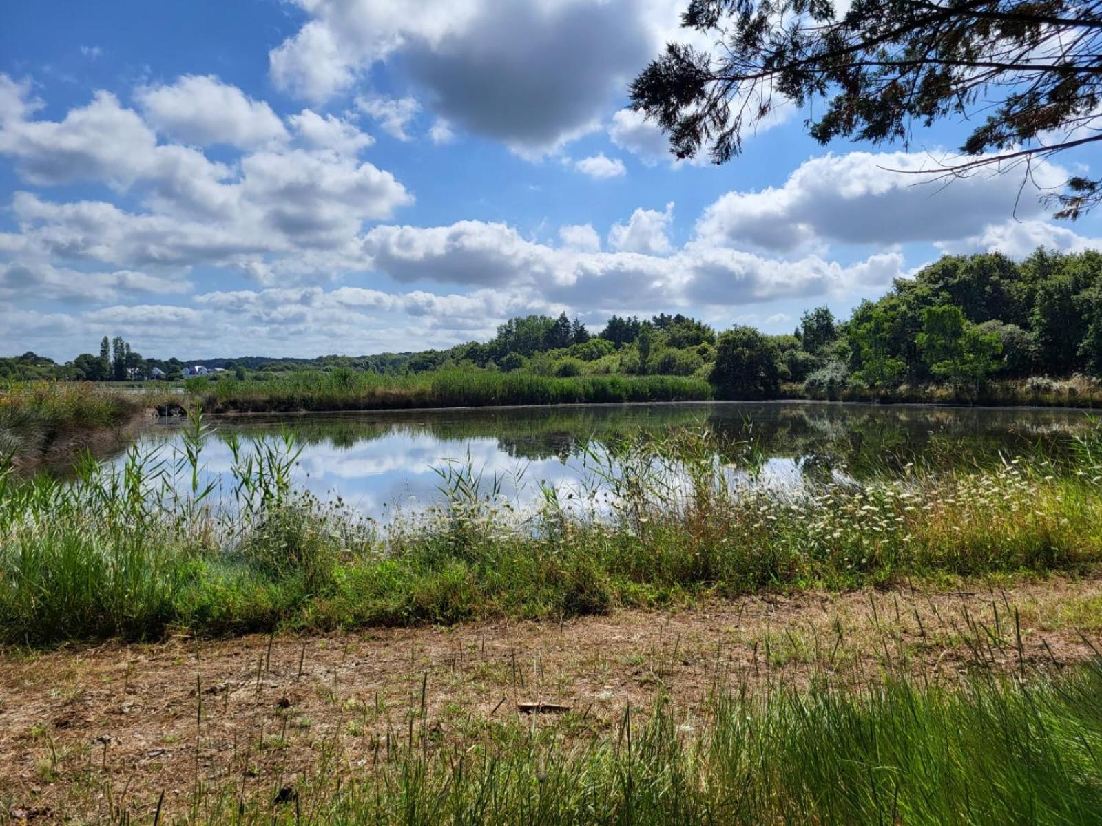 Gite De La Muse Centre Ville - Jardin Sérent Eksteriør bilde