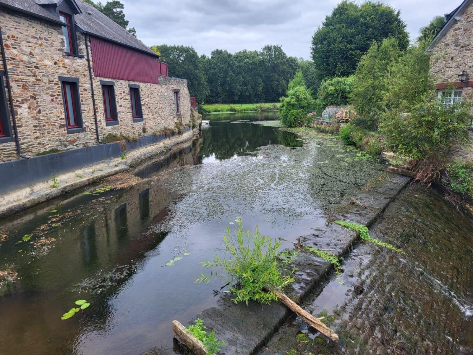 Gite De La Muse Centre Ville - Jardin Sérent Eksteriør bilde